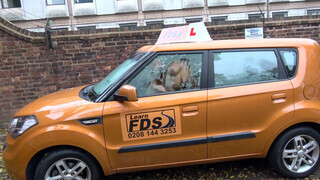 Fake Driving School nagy brit csöcsök