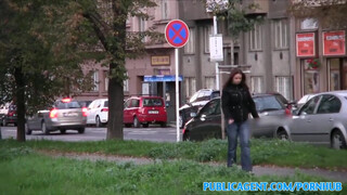 PublicAgent - Óriás tőgyes cseh maca